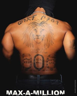 Max-A-Million back shot