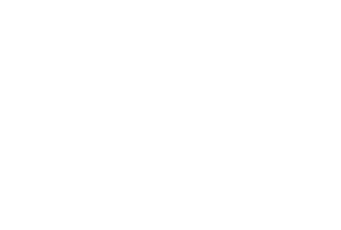 Schriftzug Torsten Götz Visum