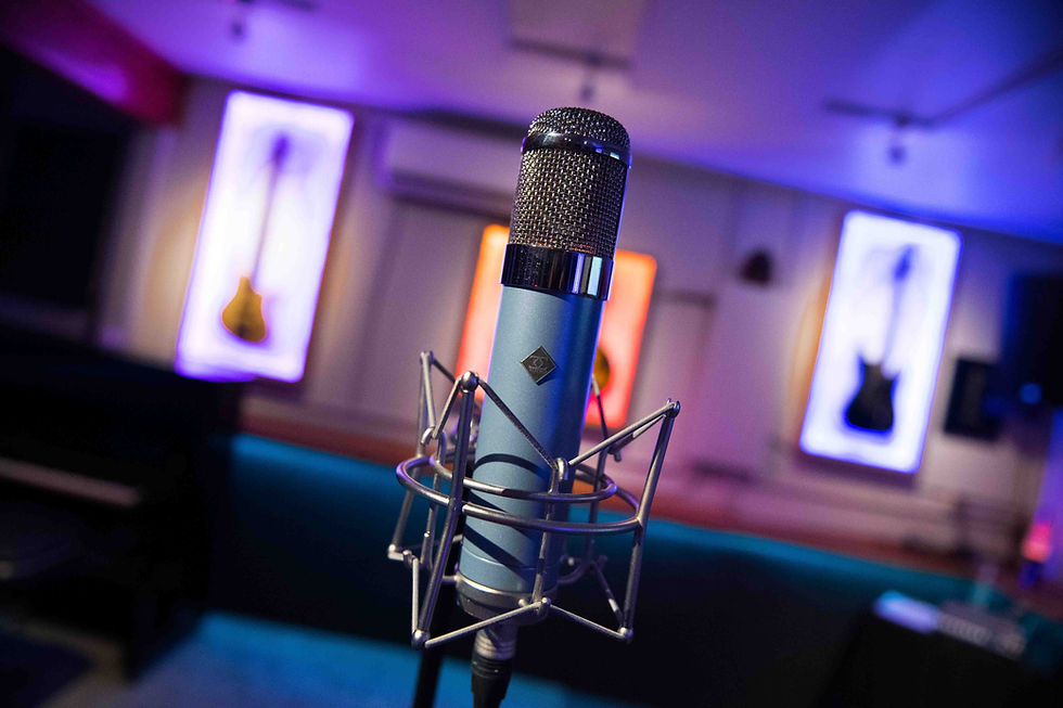 Fuzz Mic.jpg