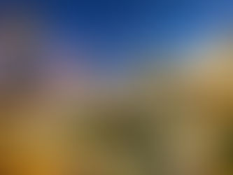 How integrated resorts could support local SMEs?