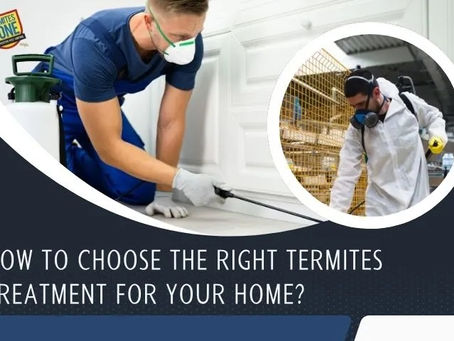 How To Choose The Right Termites Treatment For Your Home