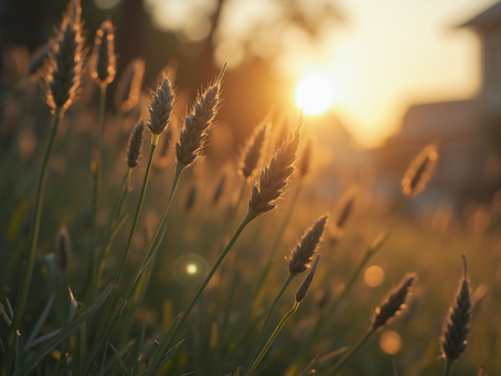Randevu ve Ödeme Yönetimi İçin İpuçları
