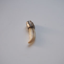 Primal tooth charm