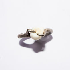 Tooth ring