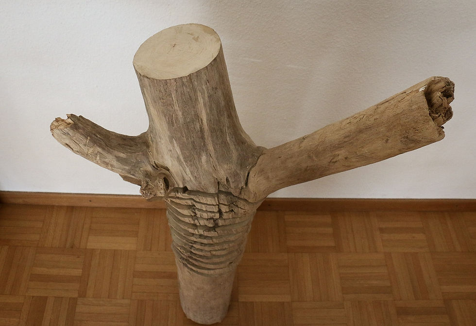 Miniature : Bois flotté
