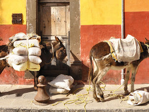 Love Letter to San Miguel from 1958 to 2026: Your Bells Have Always Known How To Fill The Sky