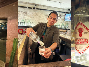 Mezcal Spotlight: Casa Murciélago