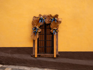 San Miguel In Bloom: Our Second New Year. From The Deputy Publisher