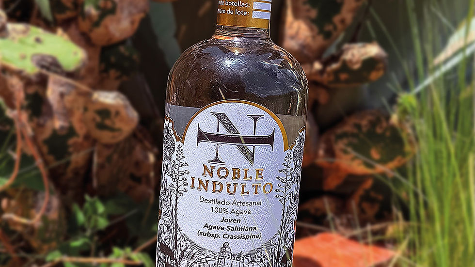 Mezcal Spotlight: Mezcal Noble Indulto