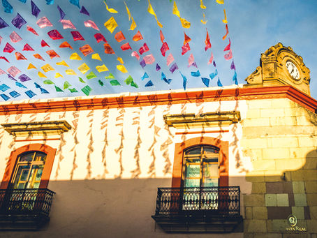 Patricia Schneider Plans: A Journey Into Mexico's Soul