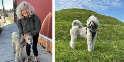 The Lost Dog: Soul Of San Miguel 
