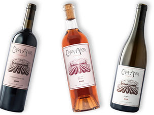 Vino y Vida. Casa Anza: Where Wine Stops Migration