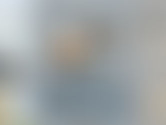 Birds Of A Feather, Mexican Bird(s) Of The Month: Three Who Don’t Mind Getting Their Feet Wet