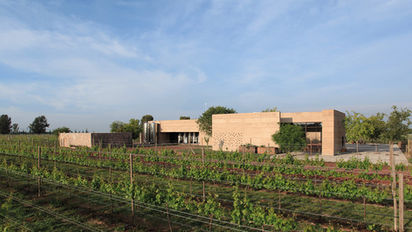 A Perfect Friday Afternoon: Cuna De Tierra Winery