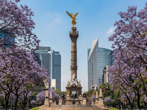 Curated Journeys in Mexico City: Discovering A Fascinating City
