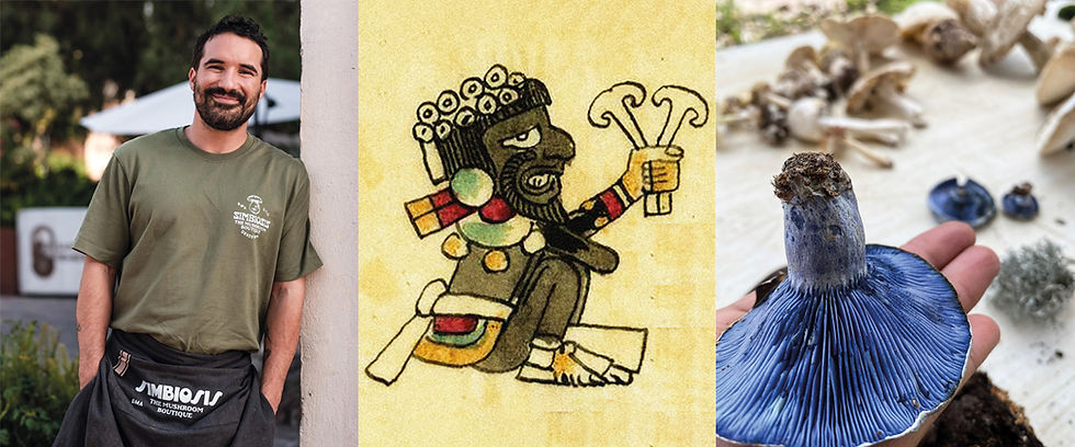 Sacred Foods:The Magic of Mexican Mushrooms
