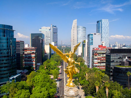 Patricia Schneider Plans: Mexico City Art & Culinary Odyssey