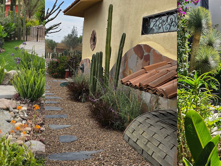 A Garden in San Miguel: The Last Call For Planting And Preparing For The Heat