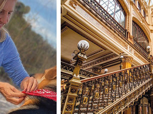 Patricia Schneider Journeys: México City “Live It” 