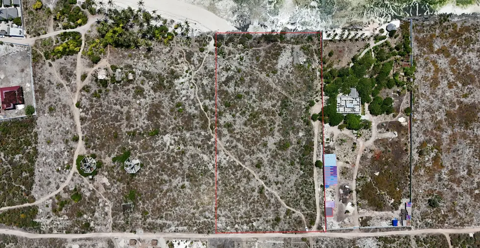 Tropisches Grundstück in Makunduchi mit Palmen und Sträuchern.