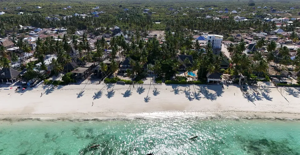 Grundstück mit Baumpflanzen in Jambiani, Zanzibar, in einer ruhigen Wohngegend.