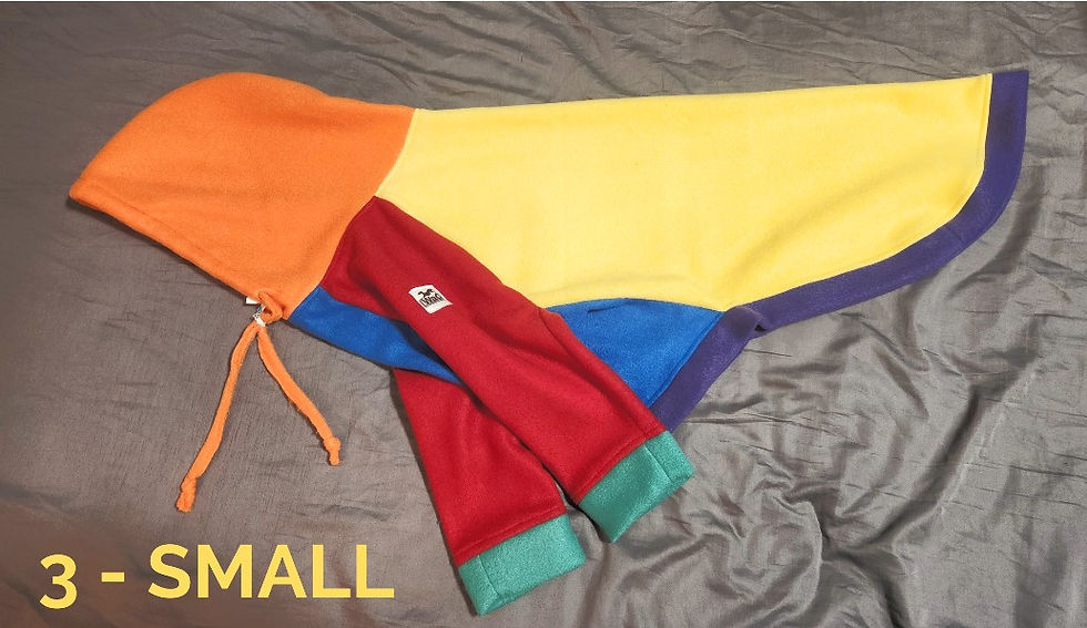 Thumbnail: Celebrate Pride Hooded Fleece Coat for Greyhounds