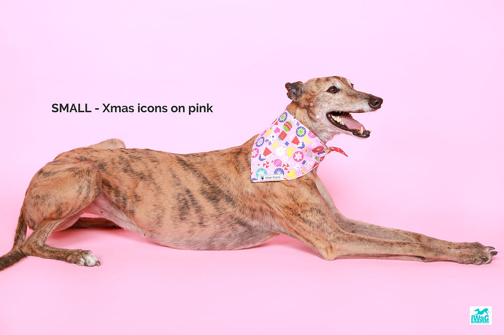 Urban Hound - Xmas-Themed Bandanas