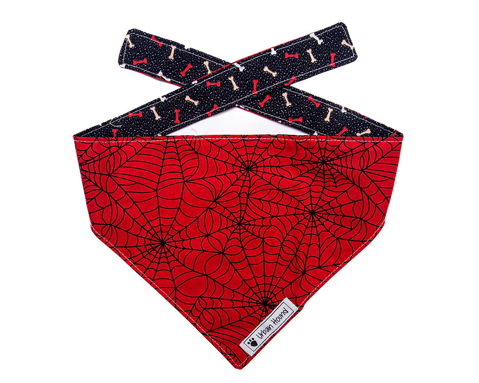 Urban Hound - Spider web, red and black bandana