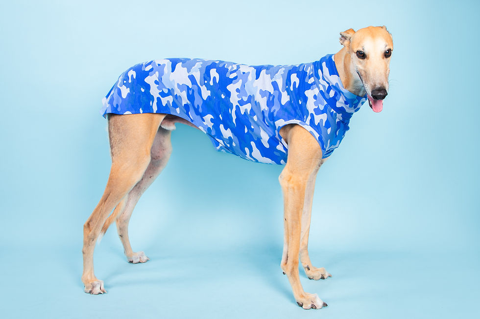 Blue Camo lightweight t-shirt - LARGE