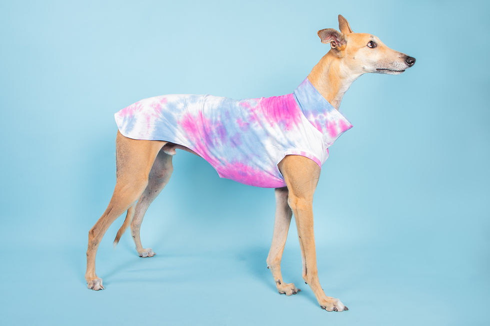 Tie Dyed lightweight t-shirt - LARGE
