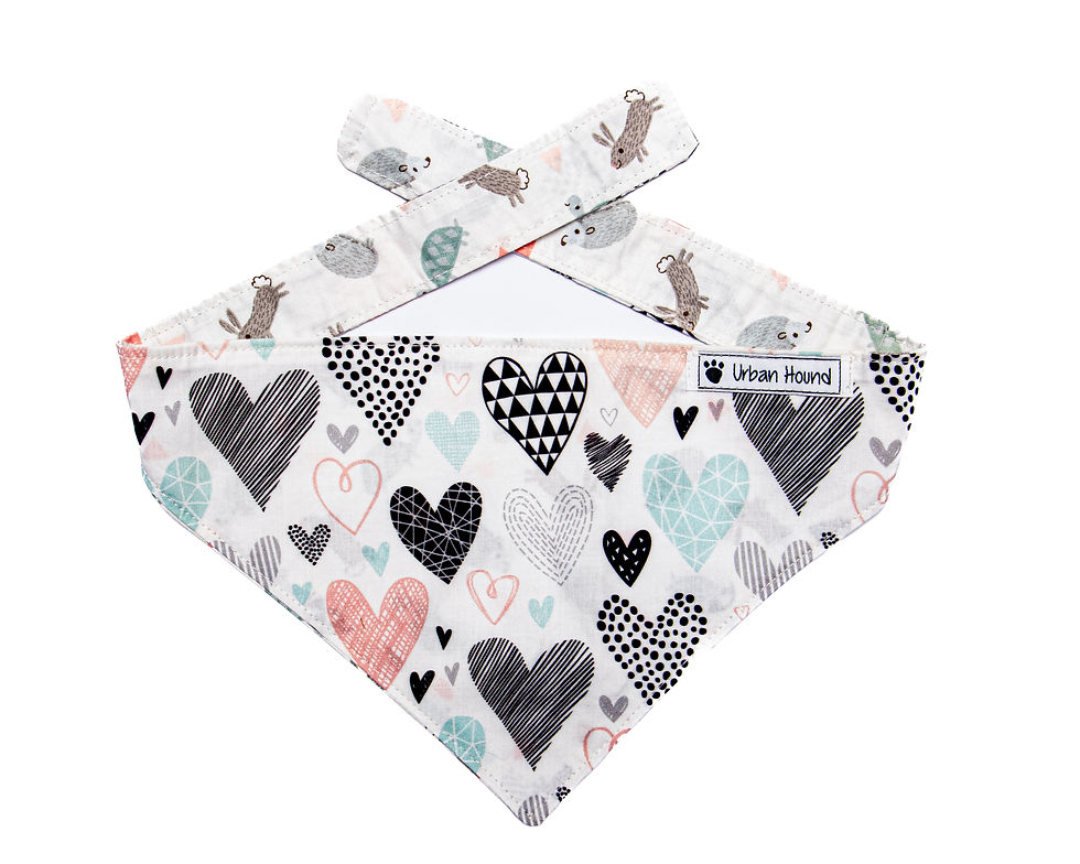 Urban Hound - Hearts on white bandana