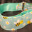 Thumbnail: Bumblebees on Aqua Martingale Collar