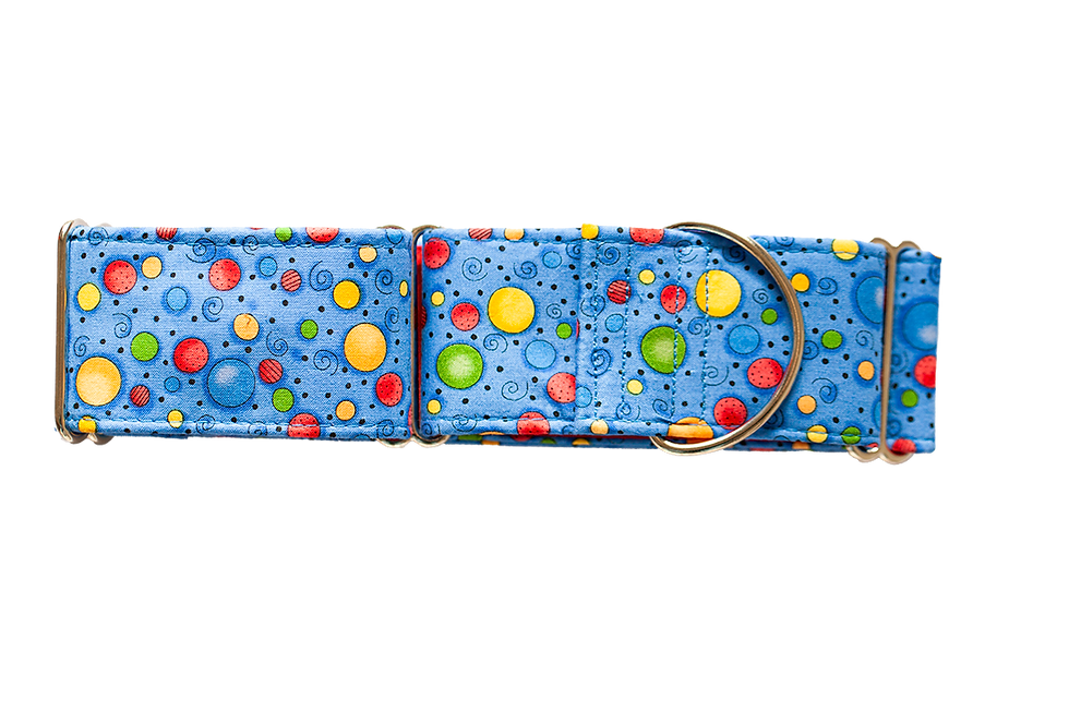 Coloured Circles on Blue Martingale Collar