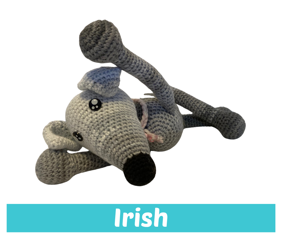 Irish IWaGgle