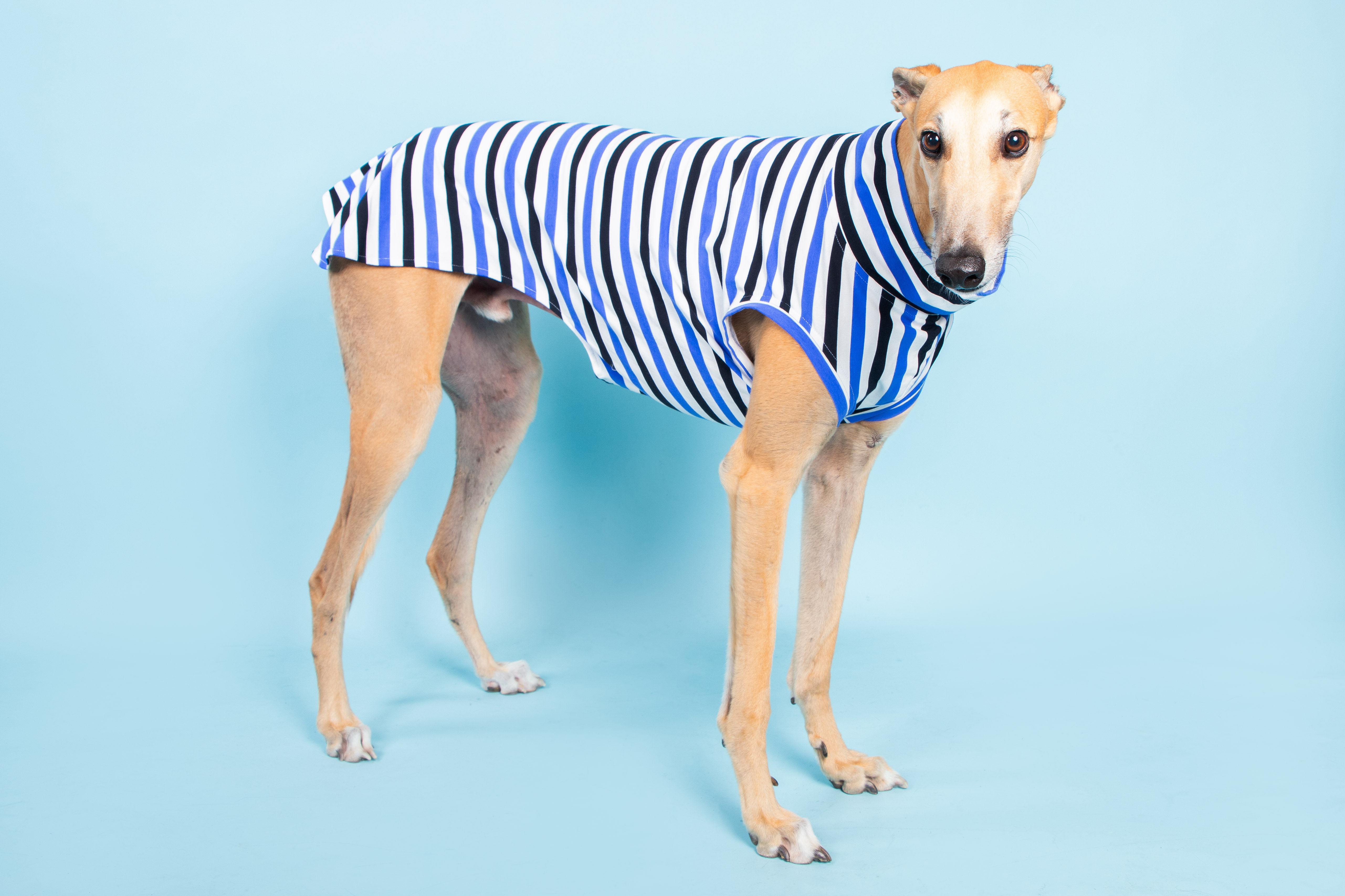 Bold and Beautiful Stripes lightweight t-shirt - LARGE