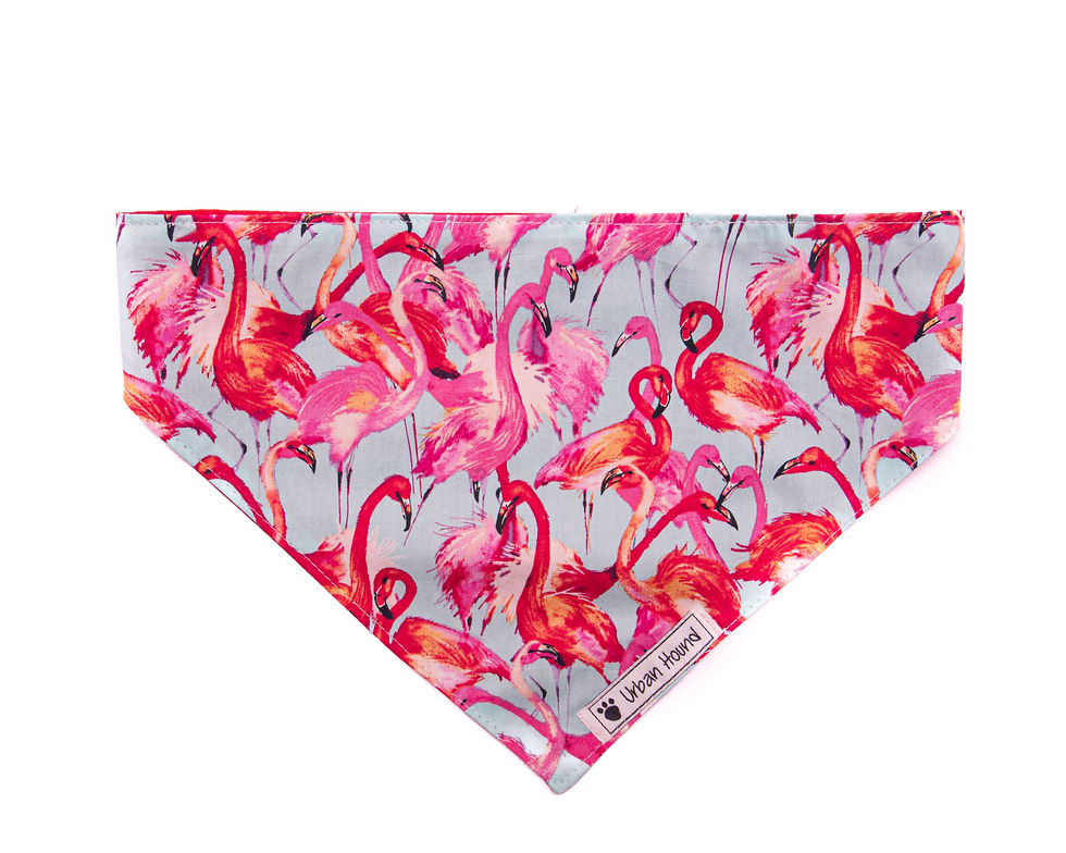Urban Hound - Pink flamingos on blue bandana