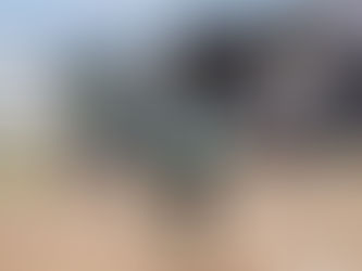 Realizan fase estatal de los Juegos Nacionales Populares 2024