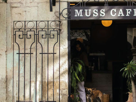 #Opinion - Las salsas y el café: la gentrificacion es inevitable