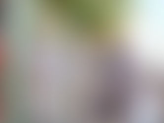 Llama SSO a limpiar patios y a no descuidar medidas preventivas contra dengue por frío