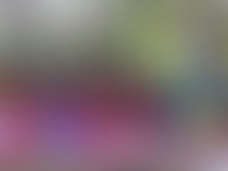 Fortalece Parque DIF lazos de unidad de cientos de familias