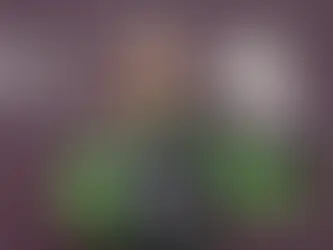 El podio de Nico Hülkenberg bajo Rayos X