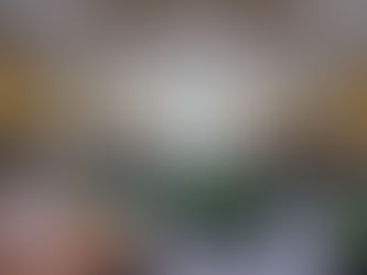 Número: 490
Aprueba INE Lineamientos para conformar la Lista Nominal de
Electores en PP