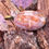 Thumbnail: New Mexico Jasper pendant on rustic wood background