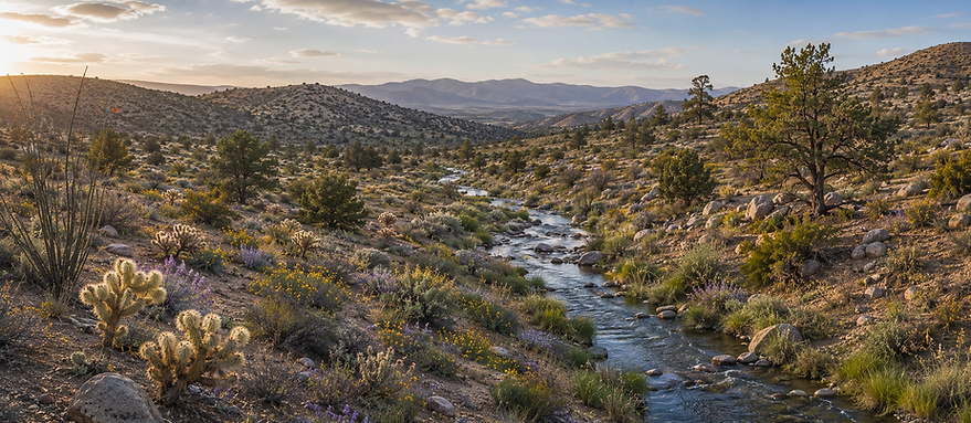 Golden Desert Creek at Dusk.png