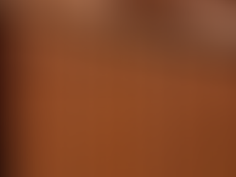 How To Make Your Wooden Fence Last