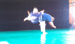 IMAG0135.jpg