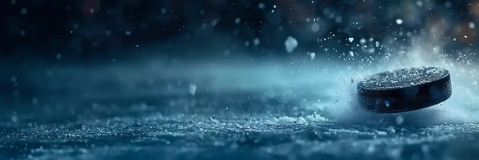icey-puck.webp