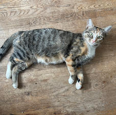 IMG_49WILLA76.jpeg