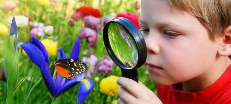 Curiosity kills the (achievement) gap