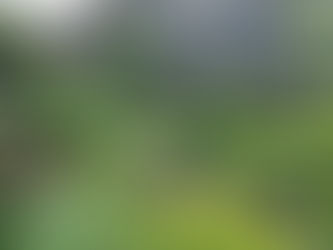 (Non-mass) murders are way up